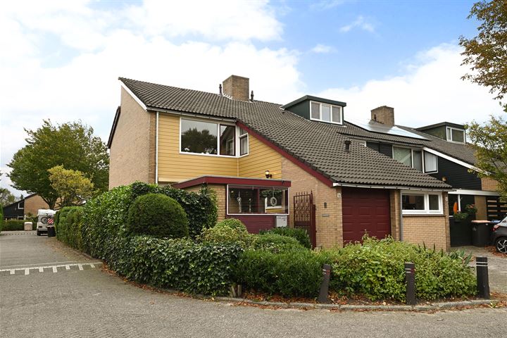 Tijm 16 in Huizen foto