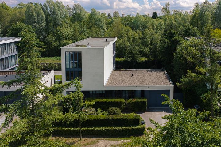 Tijmblauwtjelaan 16 in Son en Breugel foto