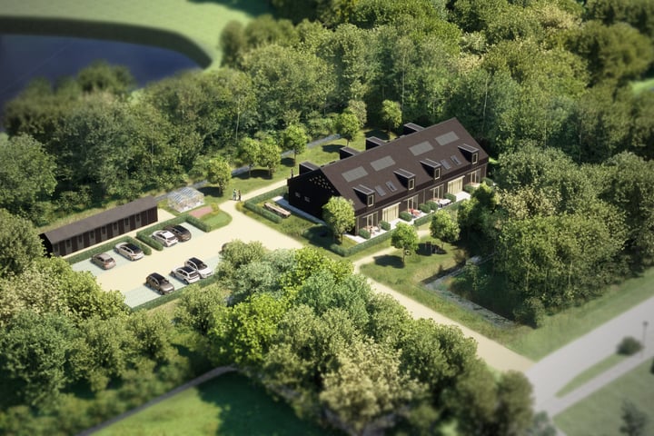Titelroas 4 in Boornbergum foto