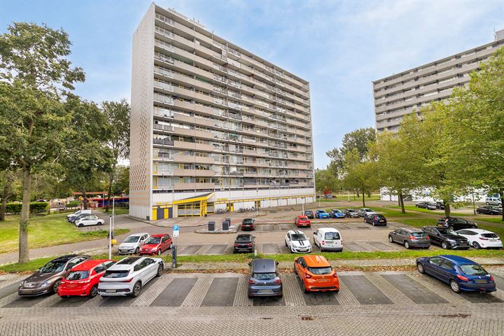 Tjaarda 320 in Drachten foto