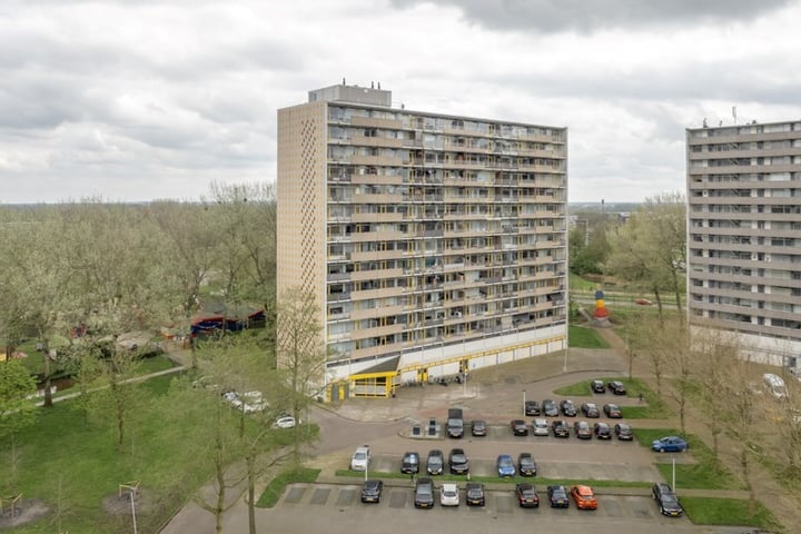 Tjaarda 354 in Drachten foto