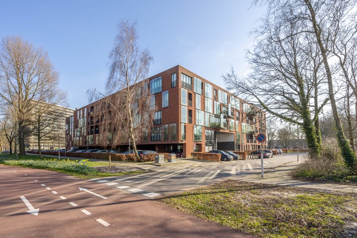 Tjalkstraat 59 in Zaandam foto