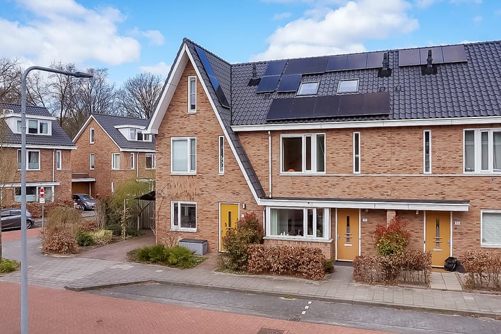 Tolhuislaan 111 in Den Dolder foto