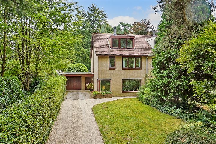 Tolhuislaan 40 in Den Dolder foto