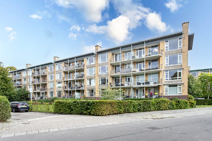 Tolsteegplantsoen 20 in Utrecht foto