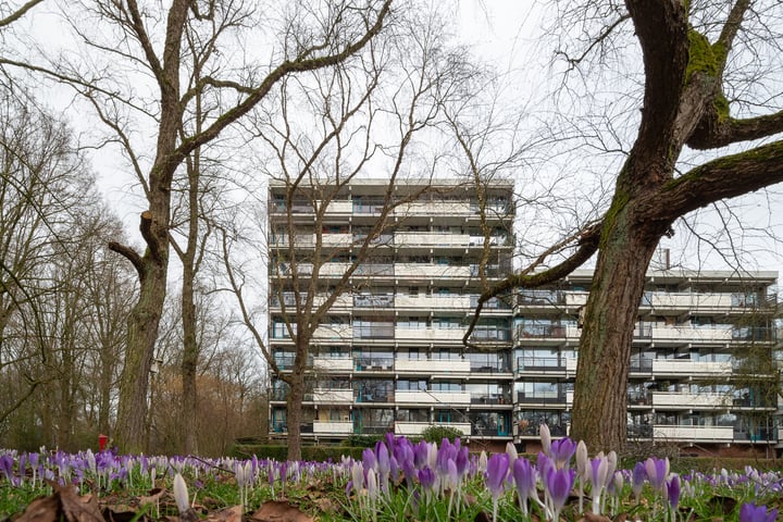 Top Naefflaan 82 in Groningen foto