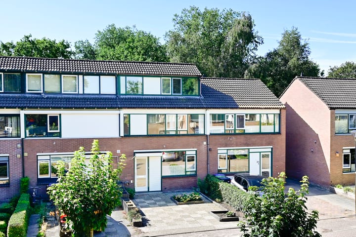 Topaas 13 in Mijdrecht foto