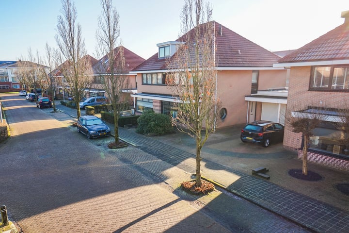 Tormentil 15 in Limmen foto