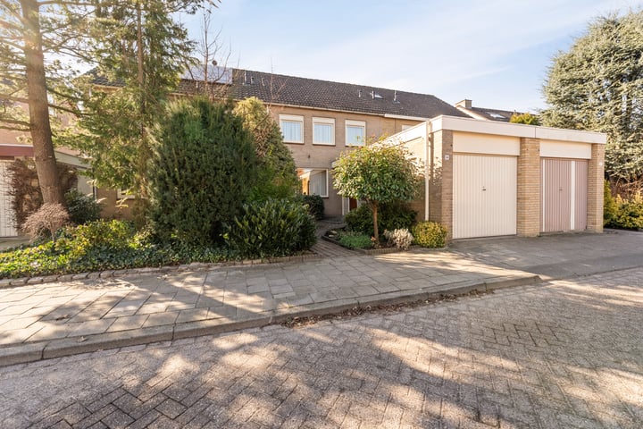Tormentil 34 in Kampen foto
