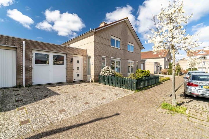 Tormentil 42 in Nootdorp foto