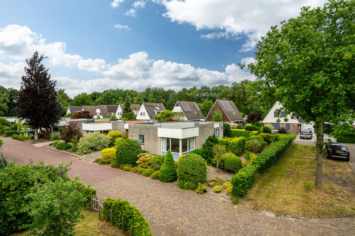 Tormentil 49 in Heerenveen