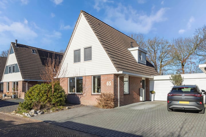 Tormentil 65 in Heerenveen foto