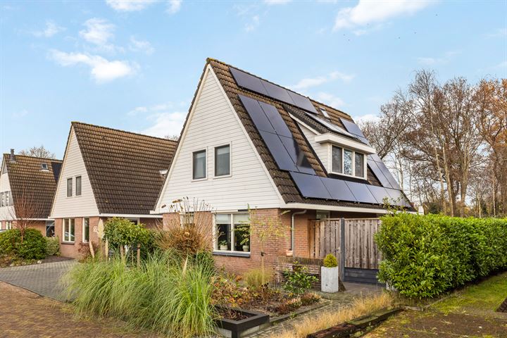 Tormentil 67 in Heerenveen foto