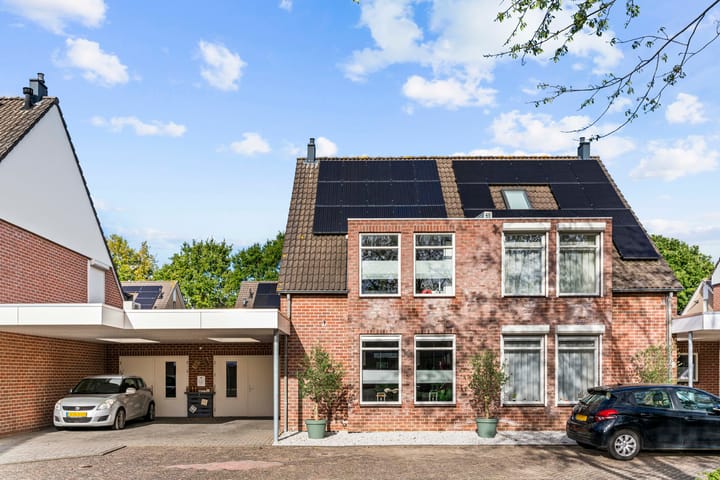 Tormentil 7 in Venray