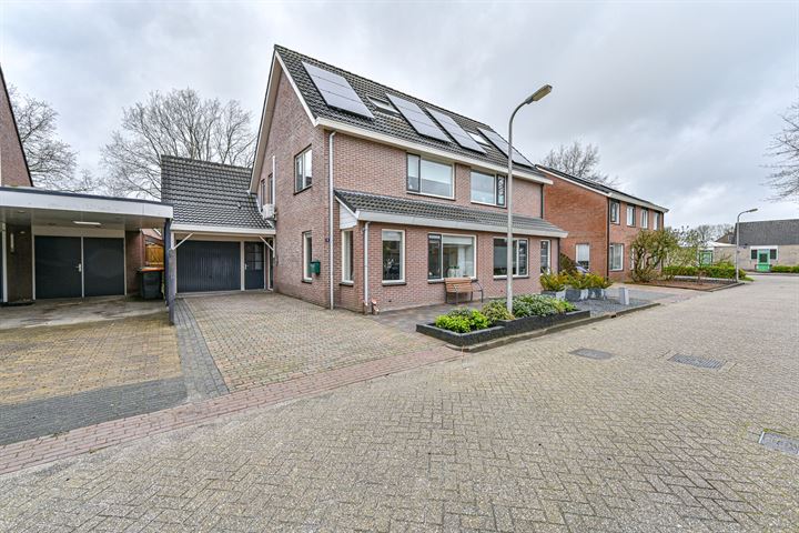 Tormentil 8 in Hollandscheveld foto