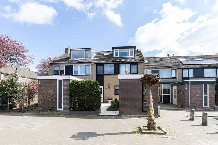 Trasmolen 3 in Papendrecht foto