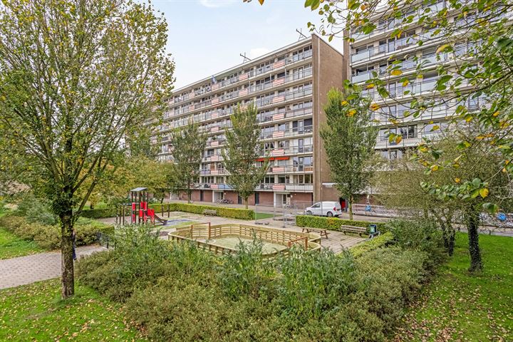 Trekvogelweg 217 in Amersfoort foto