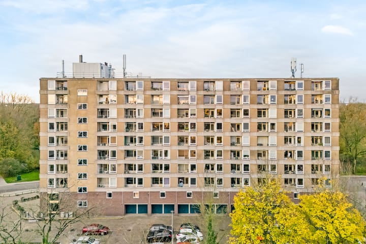 Trekvogelweg 60E in Amersfoort