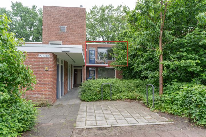 Treubstraat 183 in Nunspeet foto