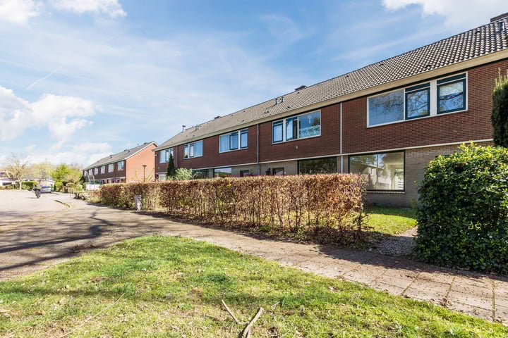 Treubstraat 60 in Dieren foto