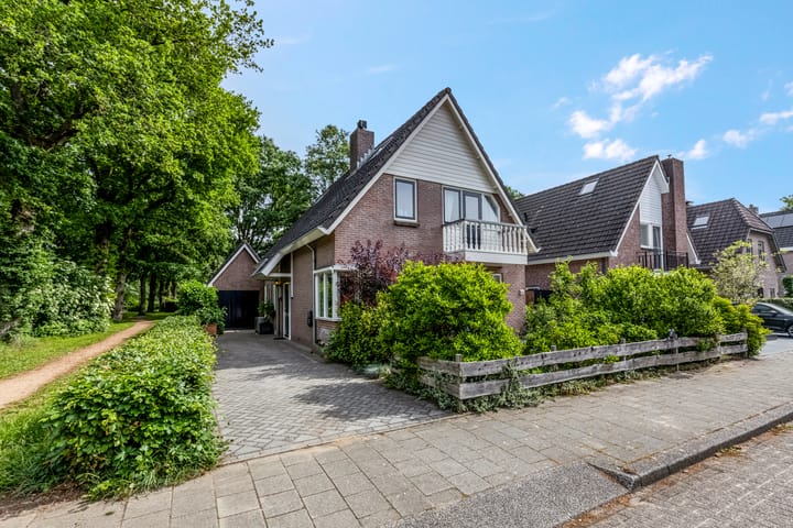 Tuinfluiter 39 in Veenendaal foto