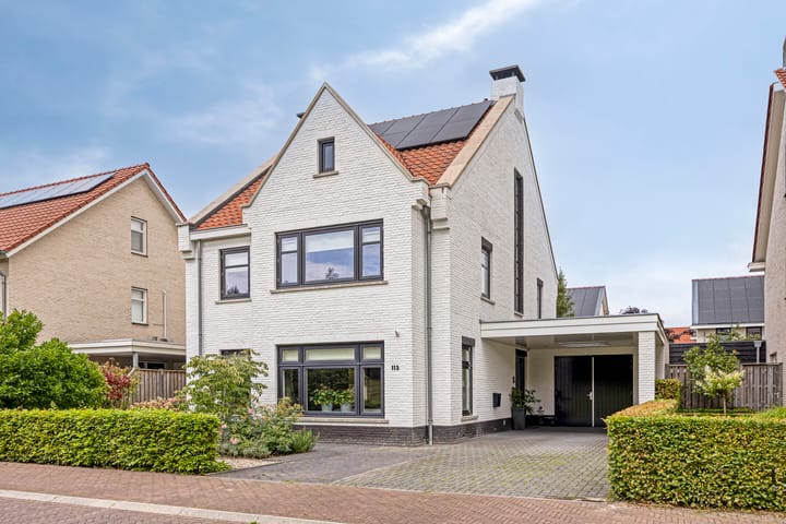 Tuinlaan 113 in Borne