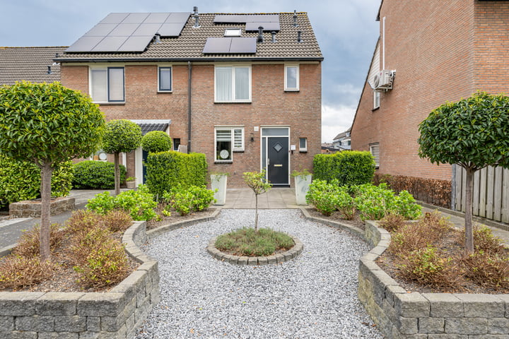 Tureluur 29 in Sommelsdijk