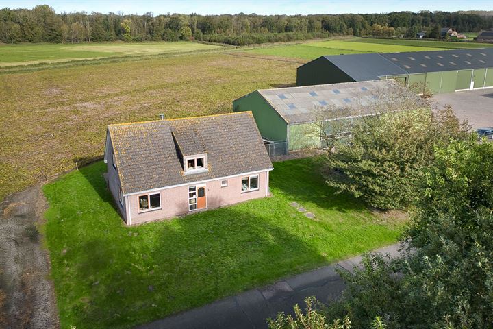 Turfbaan 1 in Steenbergen foto