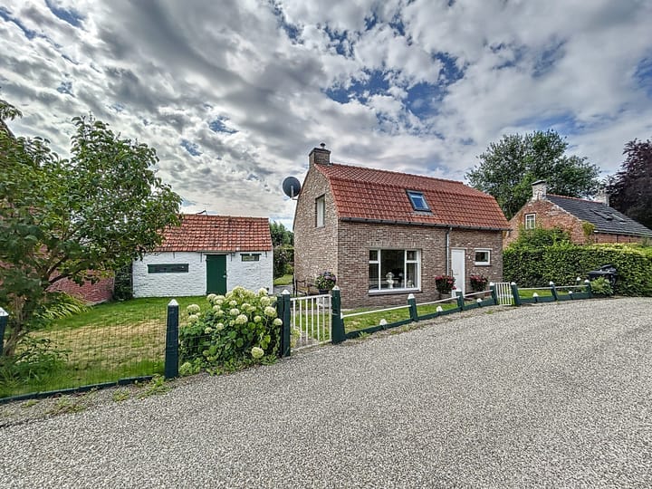 Turkeije 7 in Waterlandkerkje