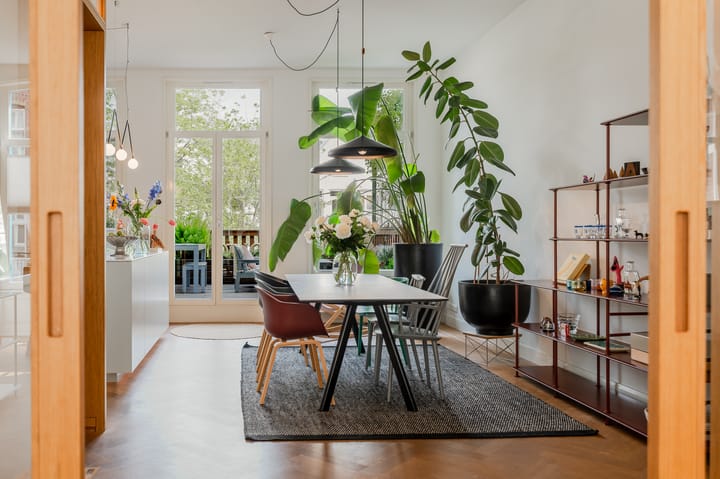 Tweede Jan Steenstraat 117-1 in Amsterdam foto