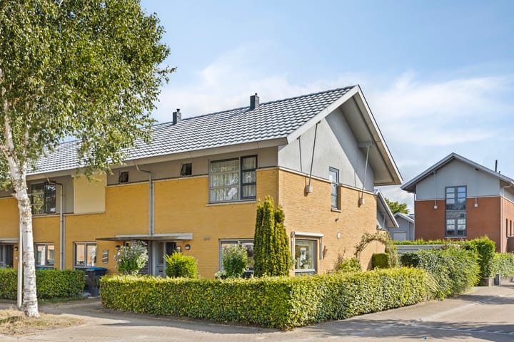 Uilvlinder 25 in Enschede foto