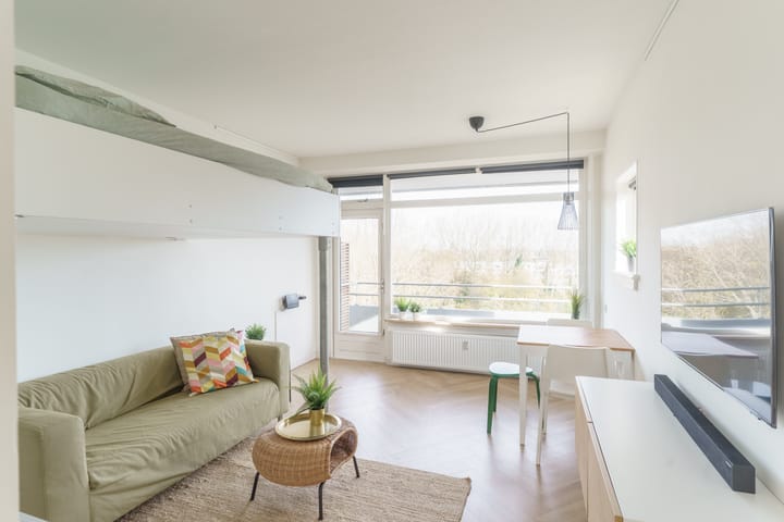 Van Adrichemstraat 165 in Delft