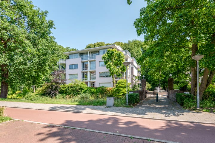 Van Alkemadelaan 119 in 's-Gravenhage