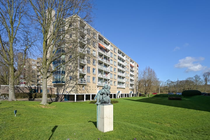 Van Alkemadelaan 958 in 's-Gravenhage foto