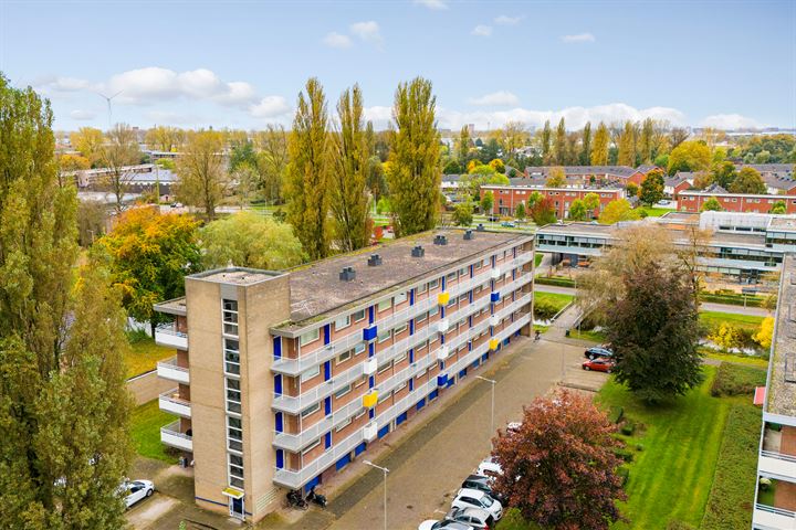 Van Borselenstraat 202 in Arnhem foto