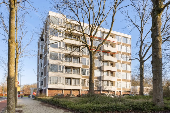 Van Boshuizenstraat 51 in Amsterdam foto