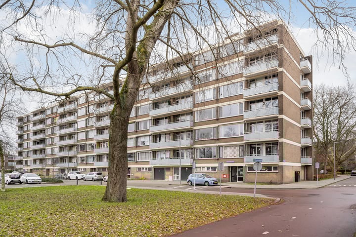 Van der Helmstraat 456 in Rotterdam foto