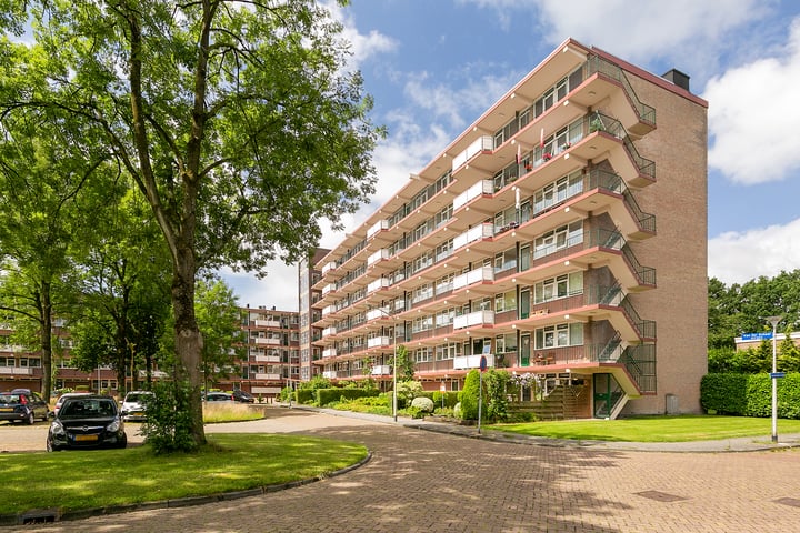van der Scheerstraat 31 in Assen foto