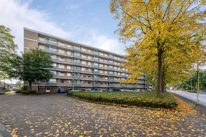 van Godewijckstraat 171 in Hendrik-Ido-Ambacht foto