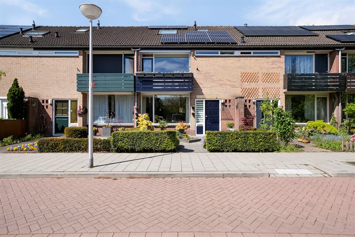 Van Goghlaan 5 in Woudenberg foto
