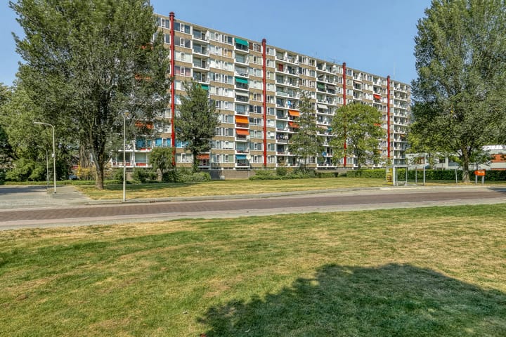 Foto van woning Van Goudoeverstraat 235, Gorinchem