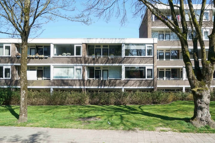 van Goyenlaan 73 in Soest foto