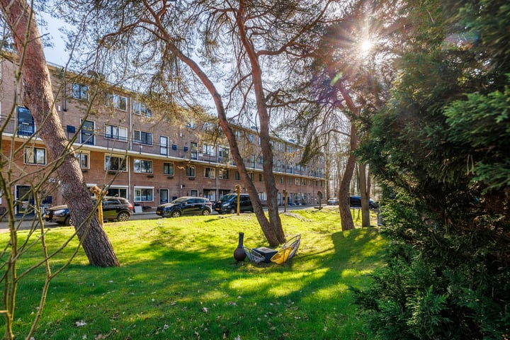 van Heutszlaan 92-1 in Ede foto