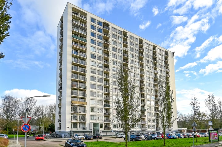 Van Leeuwenhoekstraat 5-0012 in Haarlem