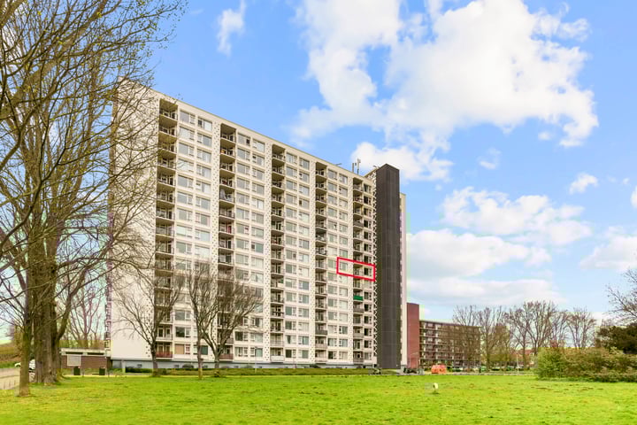 Van Leeuwenhoekstraat 5-0080 in Haarlem