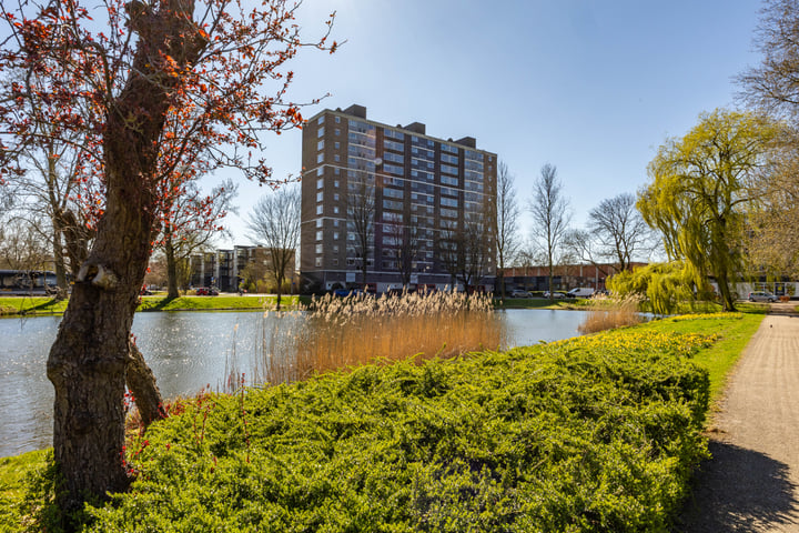 Van Lenneplaan 183 in Groningen foto