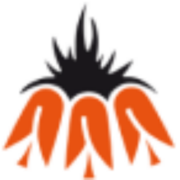 Logo Van Lierop Adviesgroep