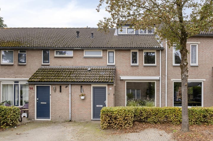 van Mellincrodestraat 30 in Oirschot foto