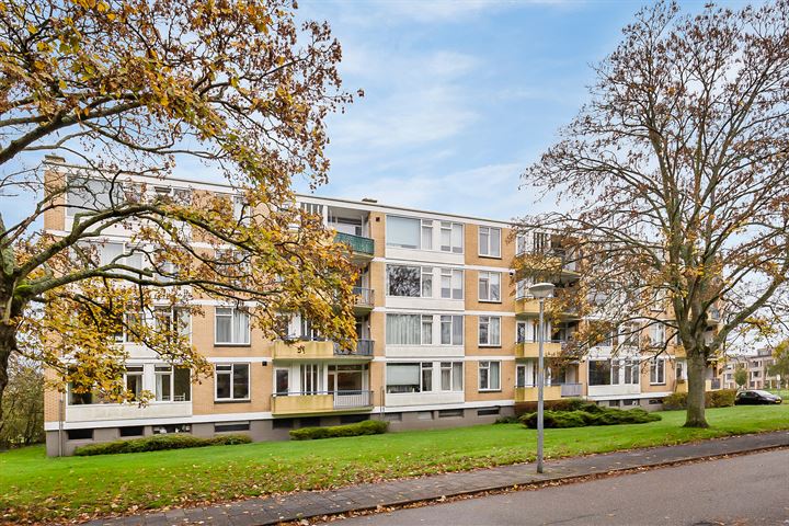 Van Ostadelaan 228 in Alkmaar foto