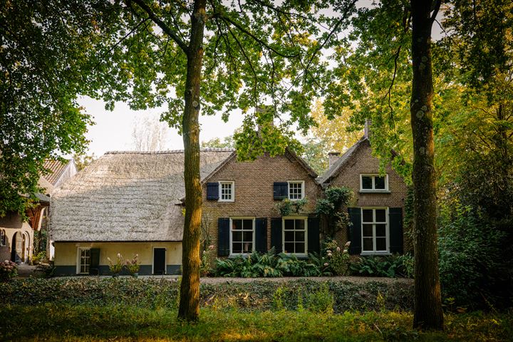 van Pallandtweg 16 in Neerijnen foto